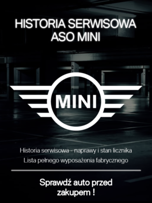 MINI HISTORIA SERWISOWA